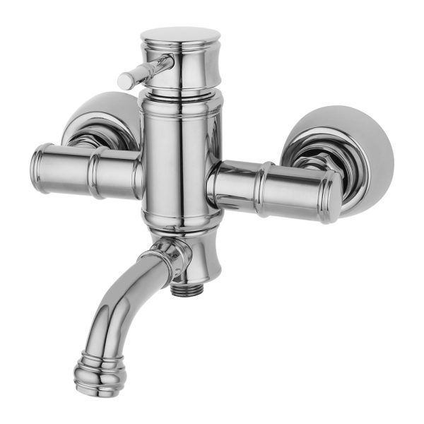 شیر حمام درنا