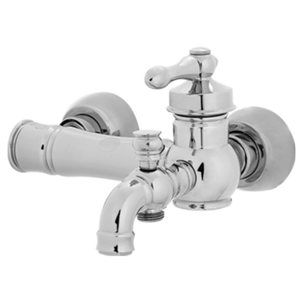 شیر حمام ونیز